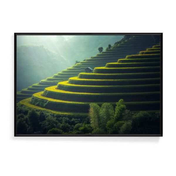棚田：圖片 2