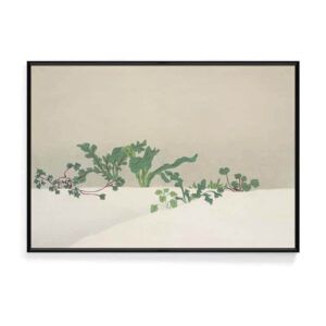 早春七草  琳派宗師-神坂雪佳