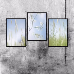 微風三聯框掛畫組